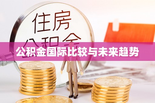 埇桥公积金国际比较与未来趋势