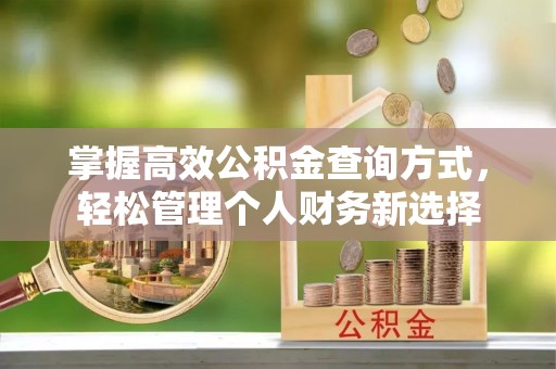 埇桥掌握高效公积金查询方式，轻松管理个人财务新选择
