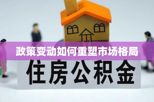 埇桥政策变动如何重塑市场格局