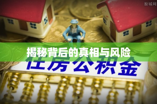 埇桥揭秘背后的真相与风险