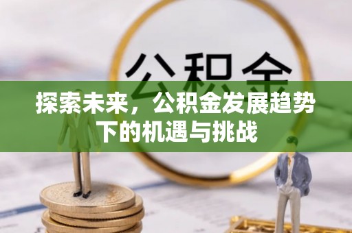 埇桥探索未来，公积金发展趋势下的机遇与挑战